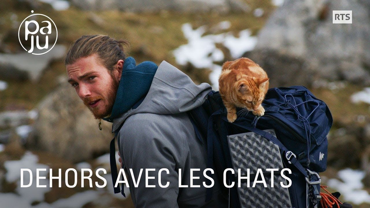 Randonn E Avec Ses Chats