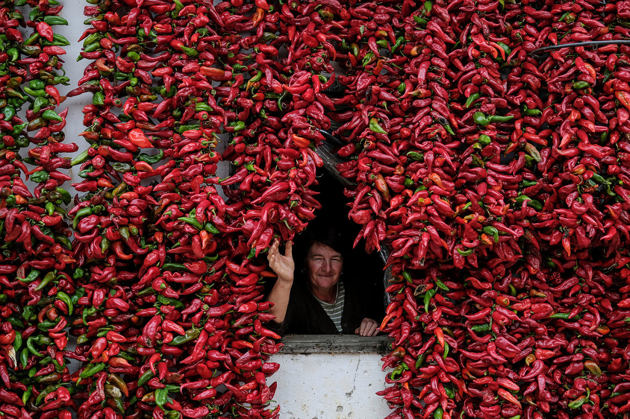 Le Piment Ne Manque Pas De Piquant Une maison qui ne manque pas de piquant