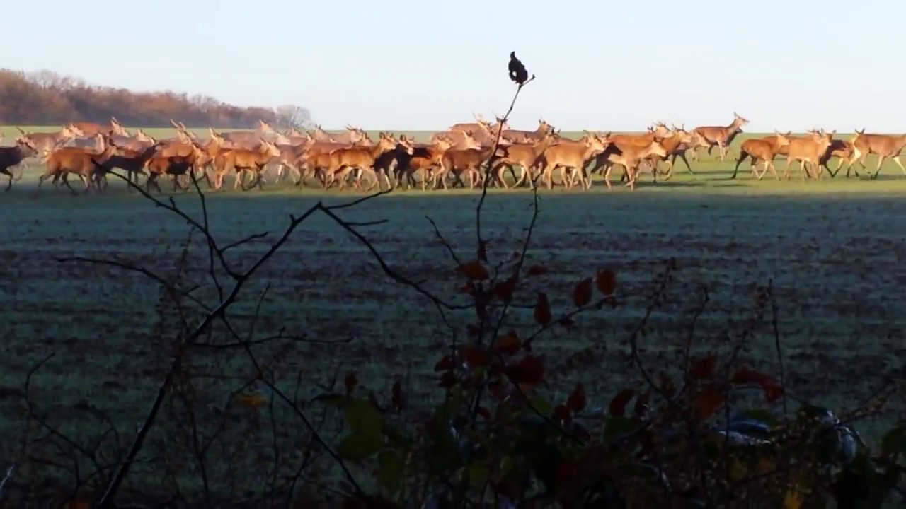 Rencontre jogging