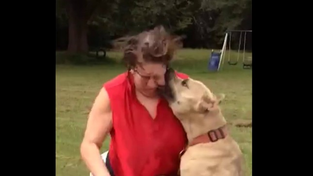 Un pitbull attaque une femme pendant un Ice Bucket Challenge Un pitbull attaque une femme pendant un Ice Bucket Challenge