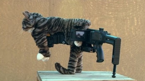 kitty-cornershot.jpg