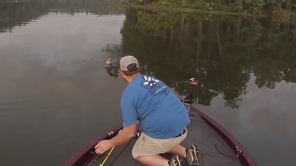 La pêche des braconniers de vidéo