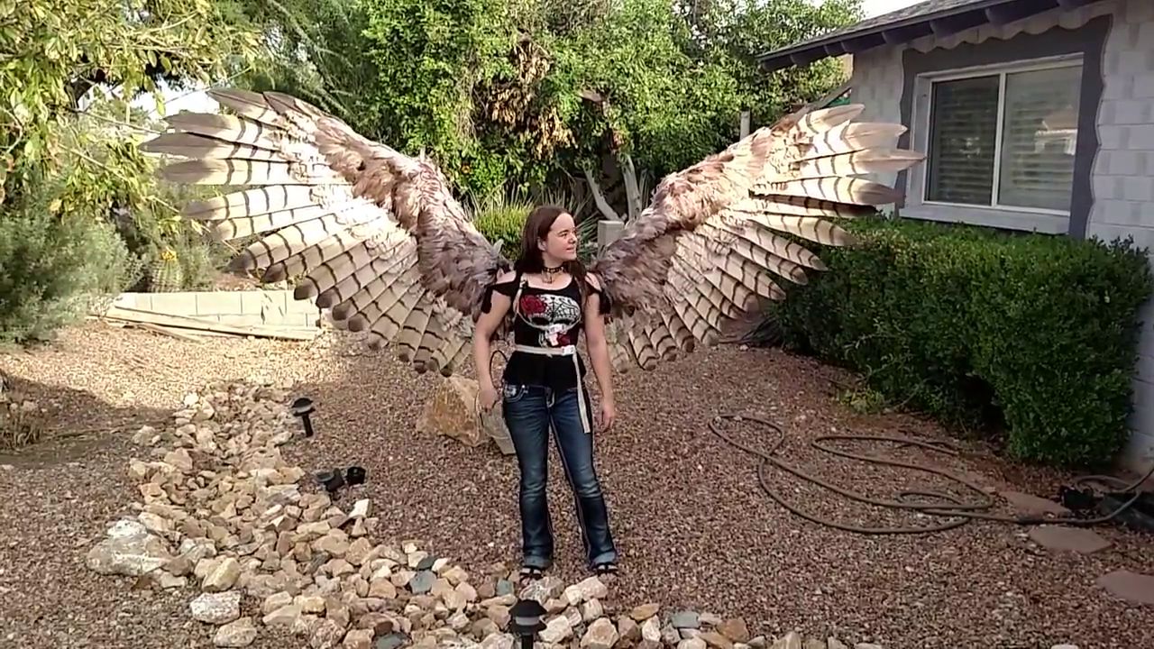 Une Paire D ailes Pneumatiques une-paire-d-ailes-pneumatiques