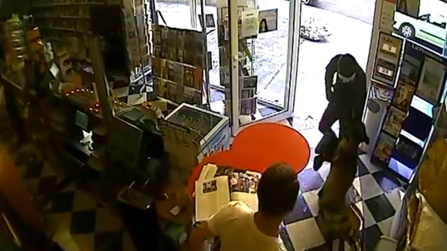 Un chien fait fuir un braqueur de bureau de tabac Un chien fait fuir un braqueur de bureau de tabac