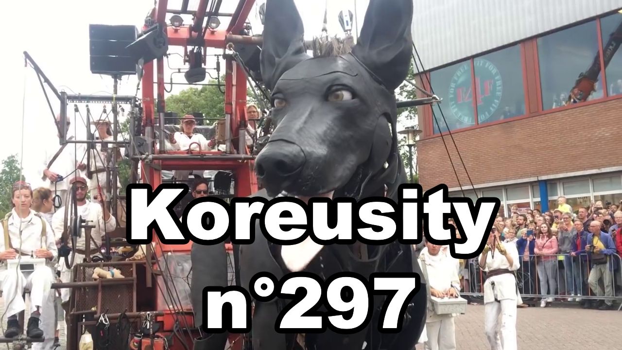 Koreusity n°297