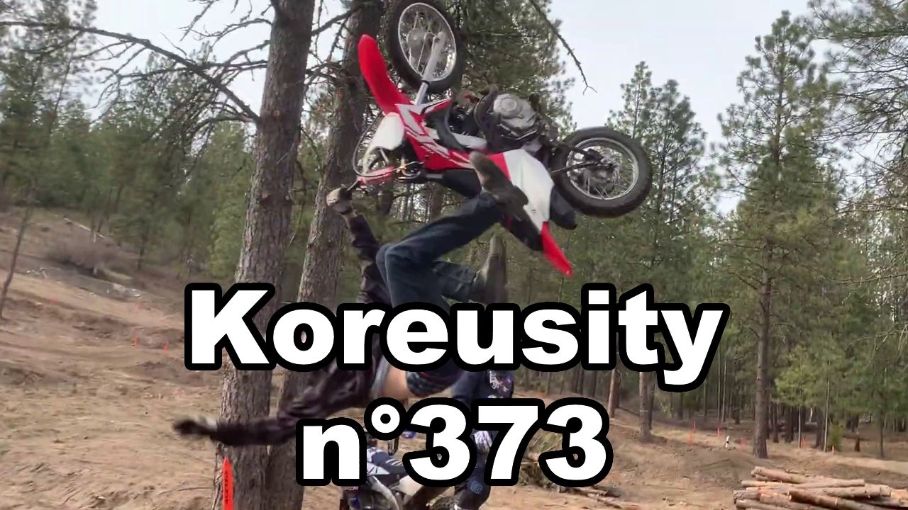 Koreusity n°373