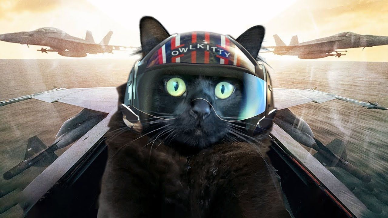 owlkitty-top-gun.jpg