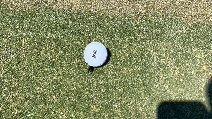 Un bousier pousse une balle de golf